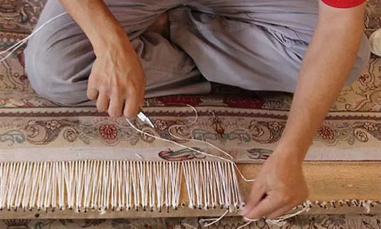خدمات ریشه زنی در قالیشویی انقلاب